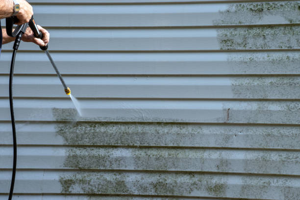 Best Construction Debris Removal  in Denmark, SC